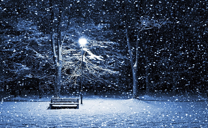 HD wallpaper: Snowing, wooden bench, Seasons, Winter, winter season, winter  scenes | Wallpaper Flare