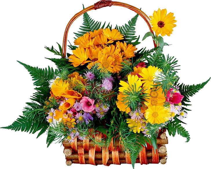 variety of flowers and basket, colorful, different, much, trash
