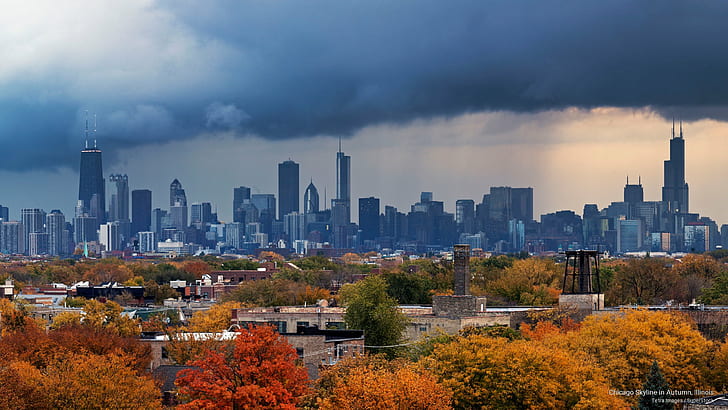 Chicago Skyline in Autumn, Illinois, Architecture