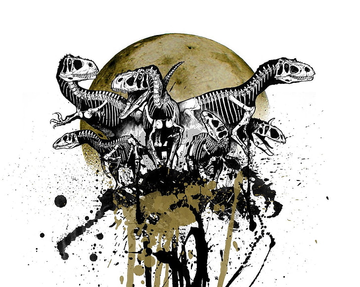 dinosaurs illustration, skull, skeleton, Moon, indoors, white background, HD wallpaper