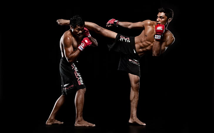 MMA Fighters, mixed martial arts fighters, bar, black background, HD wallpaper