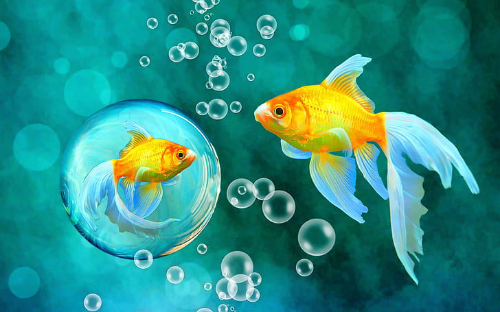 blue, bokeh, bubbles, fish, fishes, gold, goldfish, sea, underwater, HD wallpaper