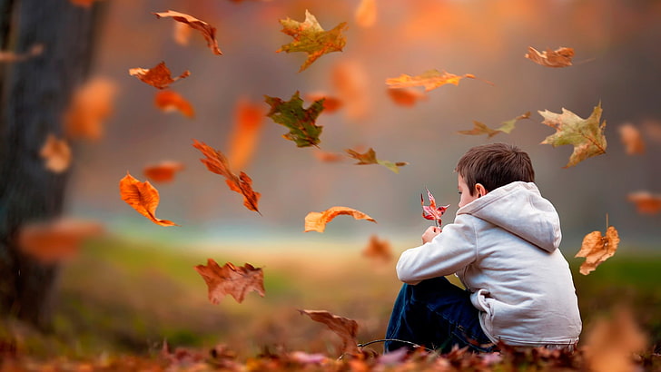 men's gray hoodie, selective focus photo of boy wearing white hoodie sitting on ground with maple leaves, HD wallpaper
