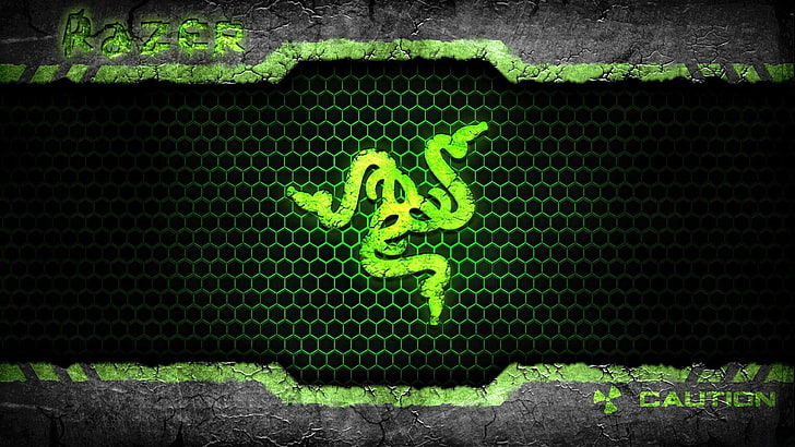 Razer logo, green color, no people, nature, animal wildlife, animals in the wild, HD wallpaper