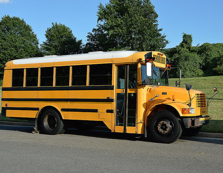 america, school bus, yellow, transportation, mode of transportation, HD wallpaper