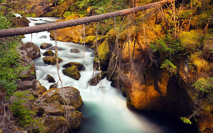 Mountain River Riverbed With Rocks And Boulders, Fallen Pine Tree Desktop Wallpaper Hd 2880×1800