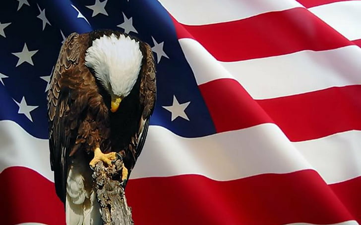 Hd Wallpaper: Holiday, Memorial Day, American Flag, Bald Eagle, Patriotism  | Wallpaper Flare