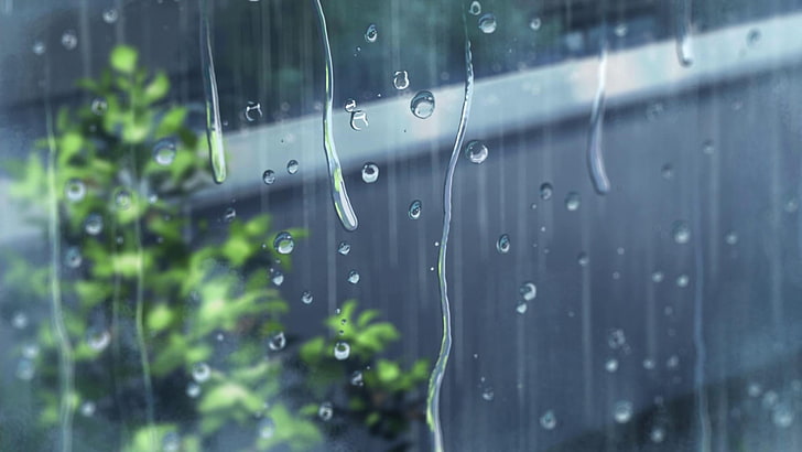 green plant, window, rain, The Garden of Words, drop, wet, water, HD wallpaper