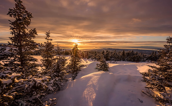 nature, winter, snow, landscape, sky, sunlight, trees, sunset, HD wallpaper