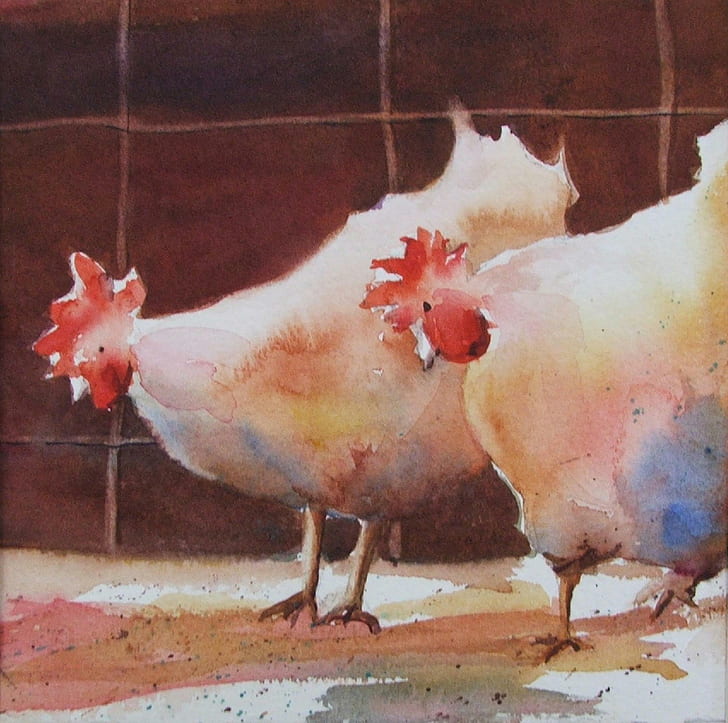 The Wee, birds, water colors, chickens, roosters, paintings animals, HD wallpaper