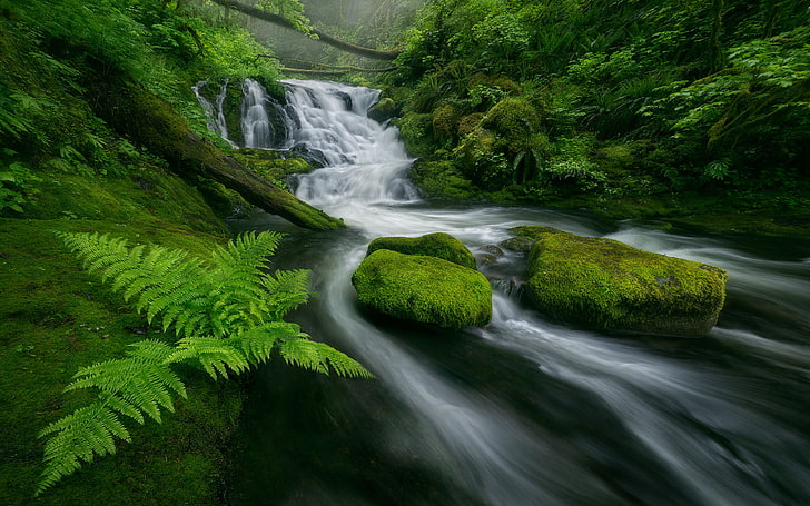 Beautiful Cascades Waterfall Flow Forest Green Moss Rocks Fern Dropped Trees Hd Wallpaper For Android Mobile Phones 3840×2400, HD wallpaper