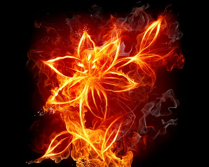flowers, fire, Flame Painter, digital art, digital painting, HD wallpaper