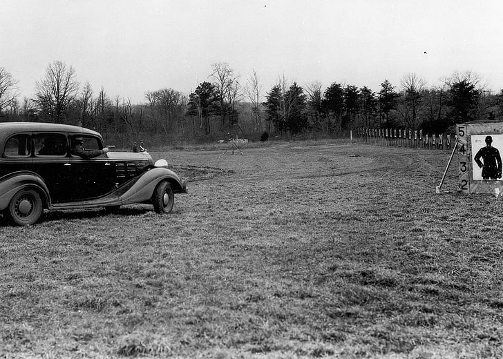 old car, police, plant, field, mode of transportation, tree