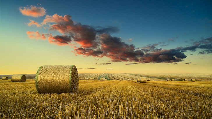 field, landscape, sky, clouds, agriculture, farm, plant, scenics - nature, HD wallpaper