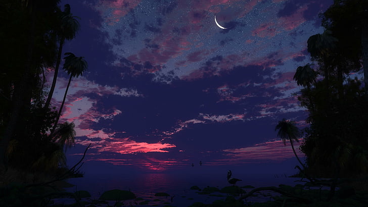 palm tree, night, stars, clouds, moon, evening, birds, water