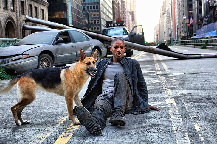 movies dogs actors will smith i am legend 4000x2657  People Actors HD Art