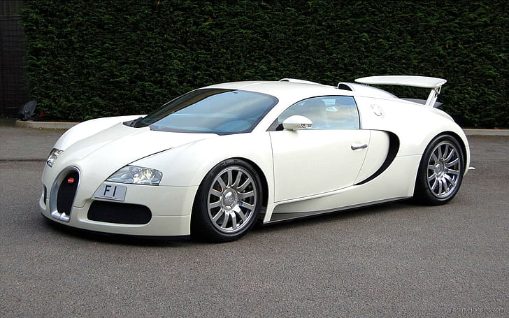 Bugatti Veyron F1 2009, white bugatti veyron, cars