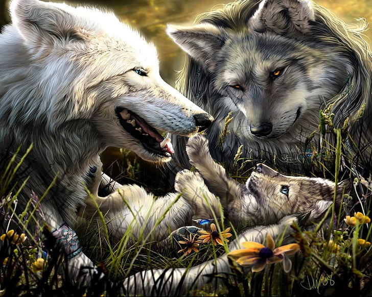 two black and white wolves wallpaper, family, birth, love, kid, HD wallpaper