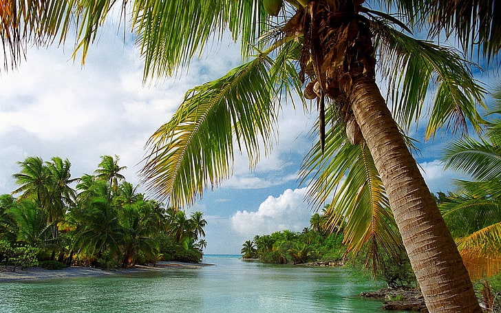 nature, landscape, island, beach, palm trees, tropical, sea, HD wallpaper