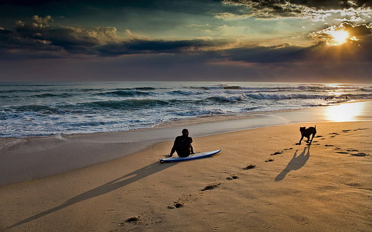 Beach Sunset Surfboard Sunlight Clouds Dog Ocean HD, nature, HD wallpaper