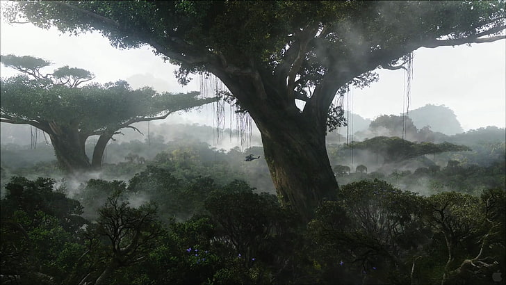 dragon blood tree, Avatar, wood, nature, Pandora, trees, movies, HD wallpaper
