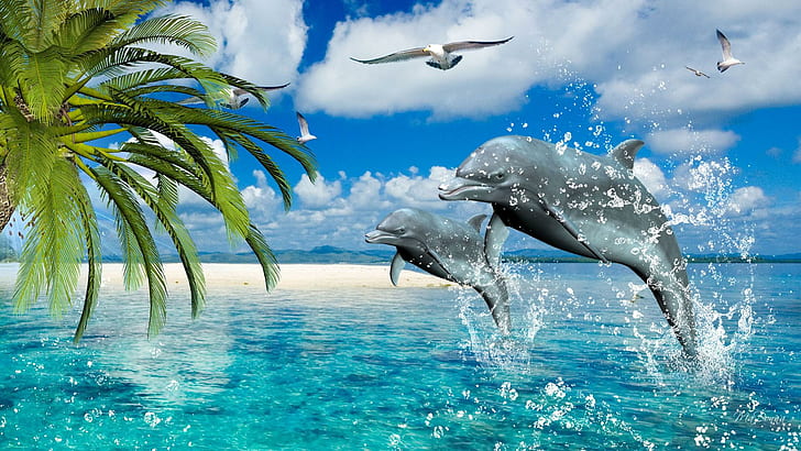 Dolphins Sea Dance, tropcial, rest, sea gulls, serene, happy