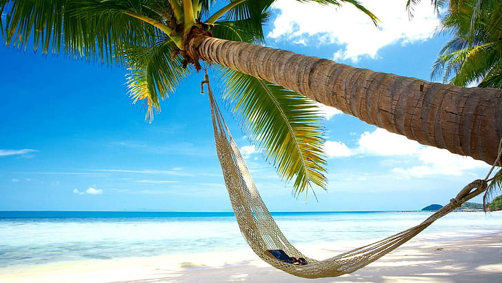 Beaches, coconut trees, hammocks, blue sea sky scenery, HD wallpaper