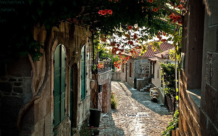 gray stone road, street, Italy, flowers, architecture, built structure