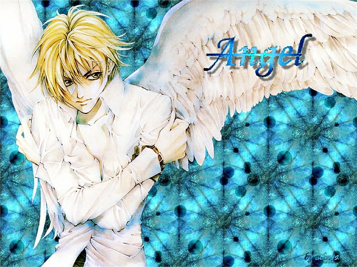 HD wallpaper: angel sanctuary | Wallpaper Flare