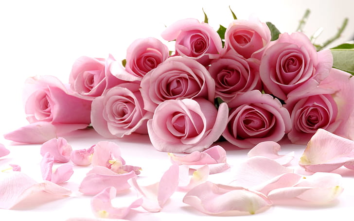 Romantic bouquet of pink roses, HD wallpaper