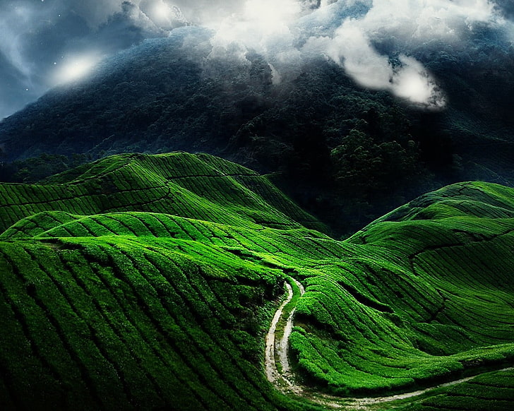 green grass field, road, fields, clouds, slopes, greens, nature