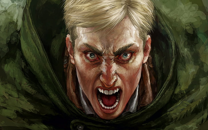 Anime, Attack On Titan, Erwin Smith, anger, emotion, negative emotion, HD wallpaper