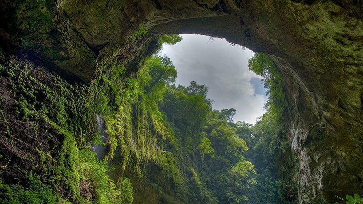 arch, vegetation, nature reserve, cave, puerto rico, ravine, HD wallpaper