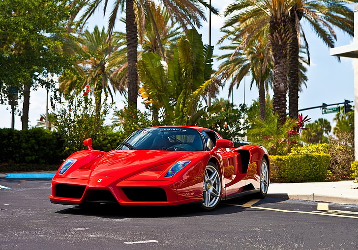red Ferrari Enzo coupe, car, sports Car, speed, land Vehicle, HD wallpaper
