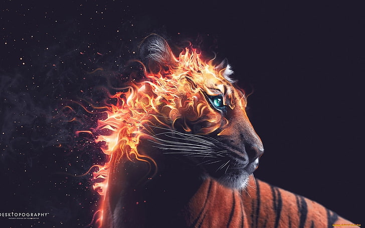 HD wallpaper: brown and black tiger with fire wallpaper, animals, digital  art | Wallpaper Flare