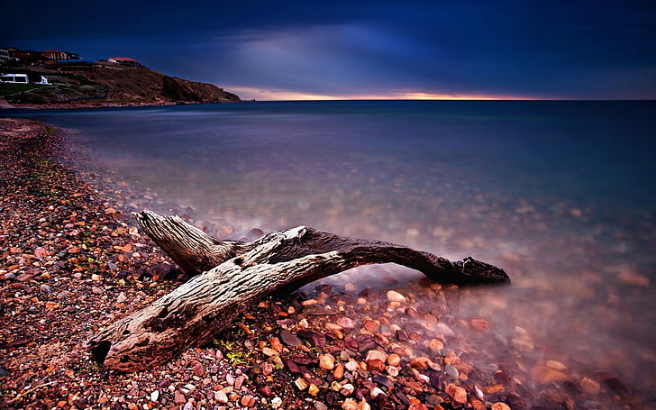 gray drift wood, nature, sea, stones, sunset, clouds, beach, pebbles, HD wallpaper