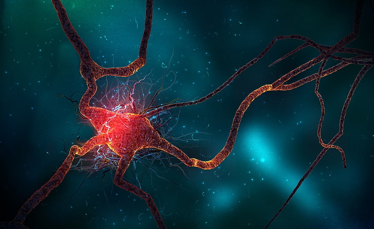 Neuron, red and black nerve cell, Artistic, 3D, no people, water