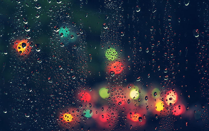dew drops and multicolored lights, colorful, rain, water drops