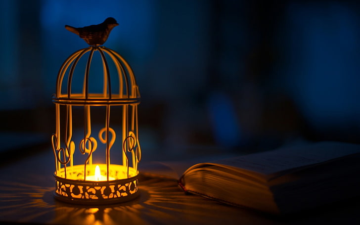 brown dome metal candle holder, birds, animals, candles, cages