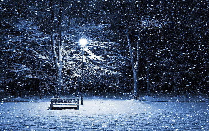 brown wooden bench, winter, snow, trees, lantern, night, park