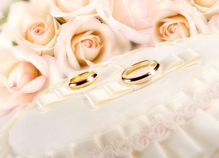two gold-colored wedding rings, glitter, fabric, flower, rose