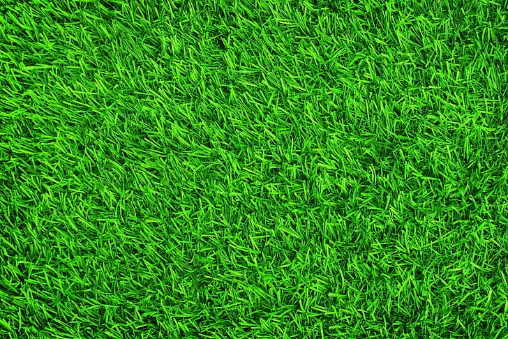 Green Grass Blurred Background Stock Photo Picture And Royalty Free Image  Image 69692485