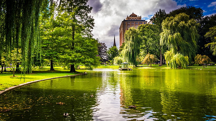Boston, Massachusetts, USA, park, trees, pond, grass, HD wallpaper