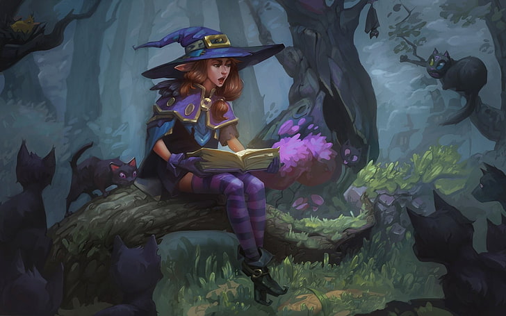 Fantasy, Witch, Book, Brown Hair, Cat, Girl, Witch Hat, Woman
