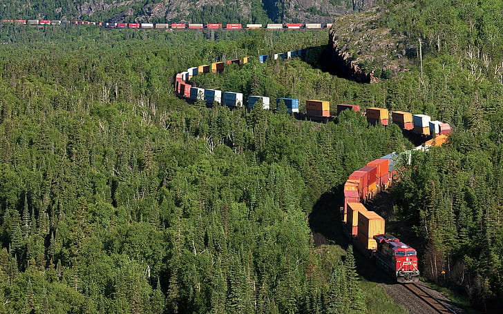 red train, freight train, diesel locomotive, plant, tree, growth