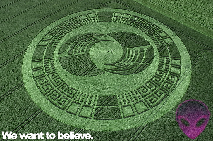 crop circles, finance, currency, green color, paper currency, HD wallpaper