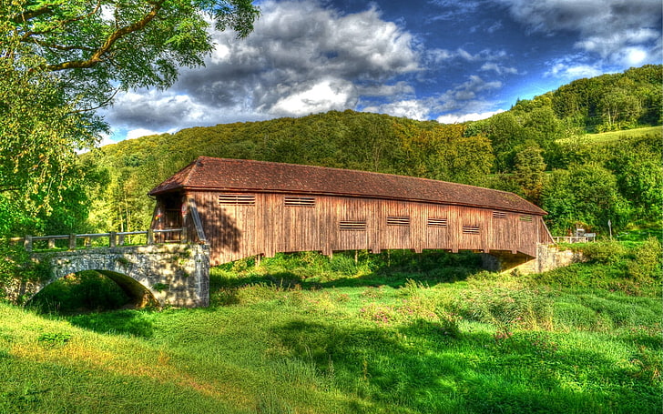 brown wooden house, nature, landscape, bridge, plant, architecture, HD wallpaper