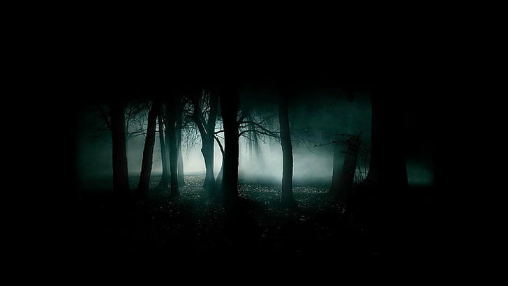 creepy, Dark, Evil, horror, scary, spooky, tree, mystery, forest