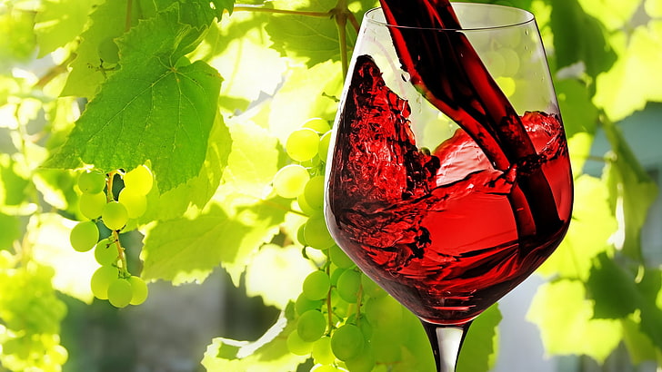 wine, alcohol, beverage, glass, drink, red wine, wineglass, HD wallpaper