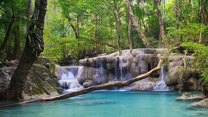 Thailand Erawan National Park Kanchanaburi Provinc.., tree, water, HD wallpaper